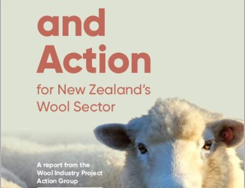 Action on wool needed now, say industry figures